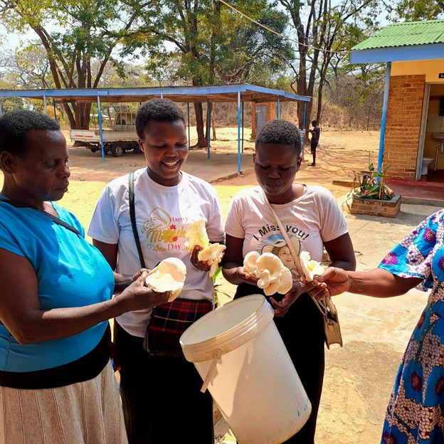 WhatsApp Image 2025-10-02 at 10.57.47_9c4faaa8